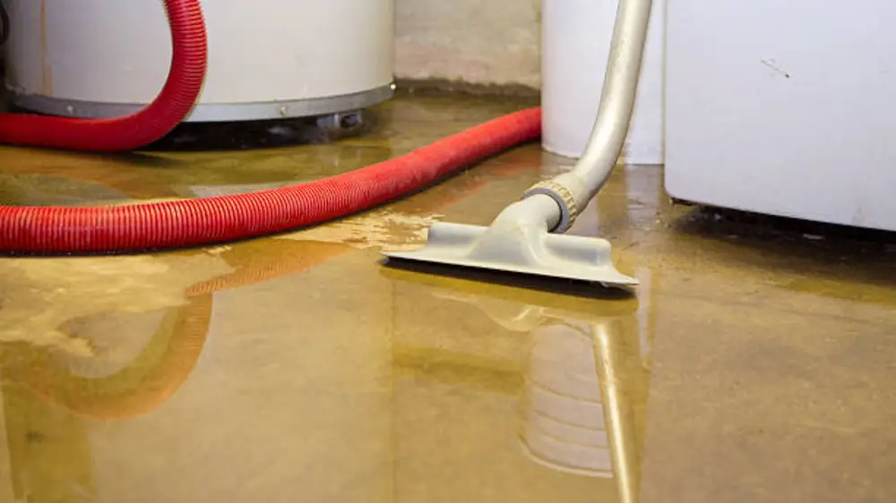 Wet vacuum wand and red hose extracting water from a basement floor