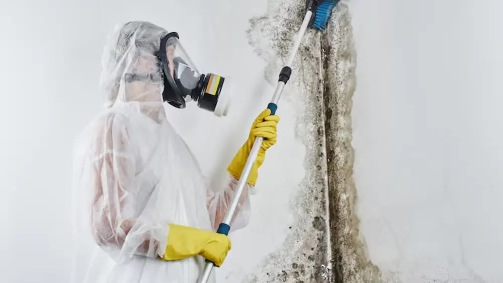 Technician in a protective suit and respirator scrubbing mold from a wall with a pole brush