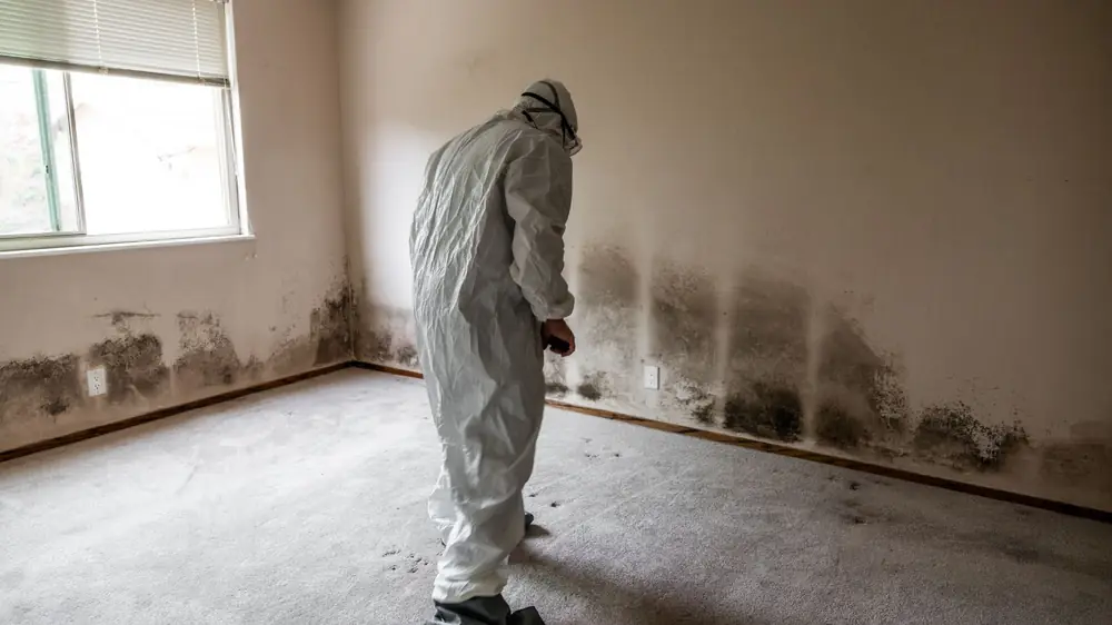 Worker in a protective suit inspecting dark mold along the lower walls of an empty room
