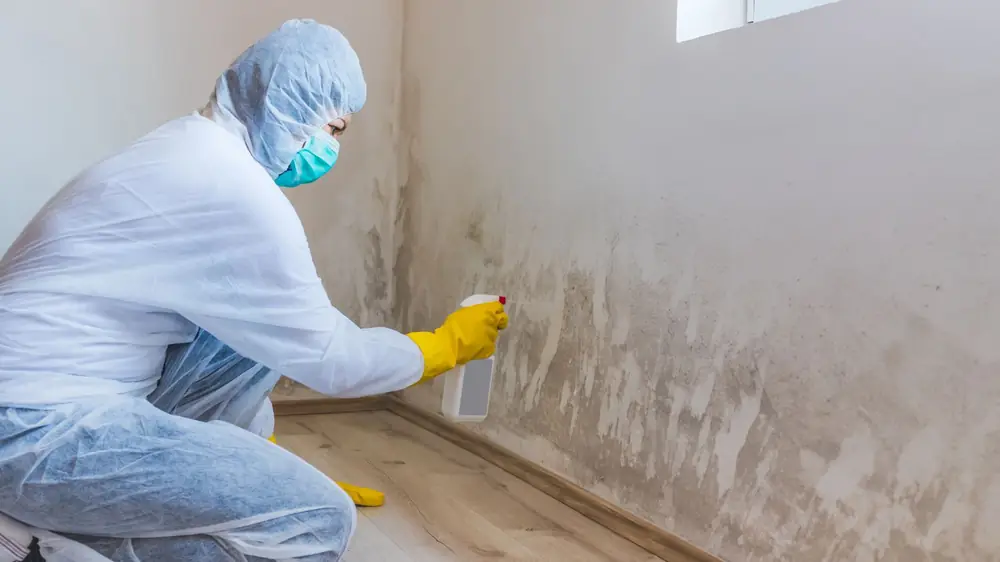 Worker in protective gear spraying cleaner on a stained wall near the baseboard