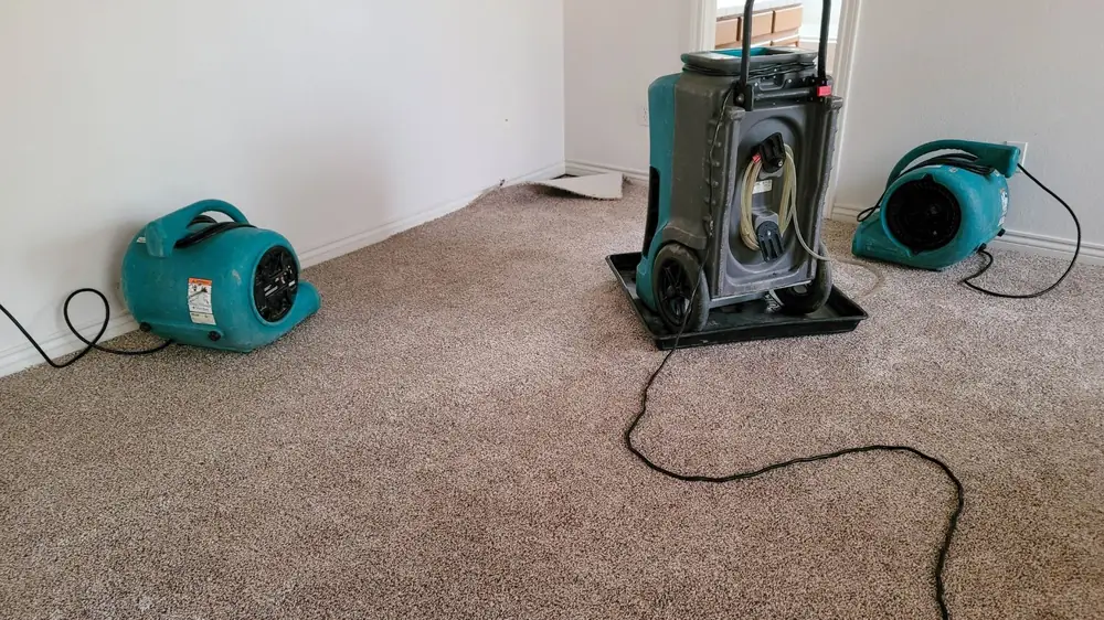 Dehumidifier and two air movers running on carpet in an empty room