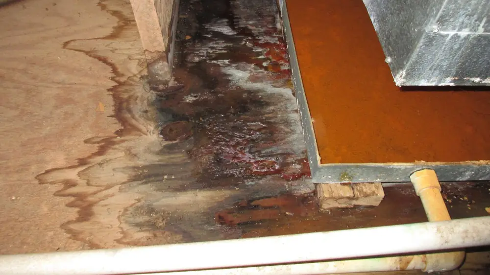 Water-stained floorboards and subfloor beside a metal duct opening